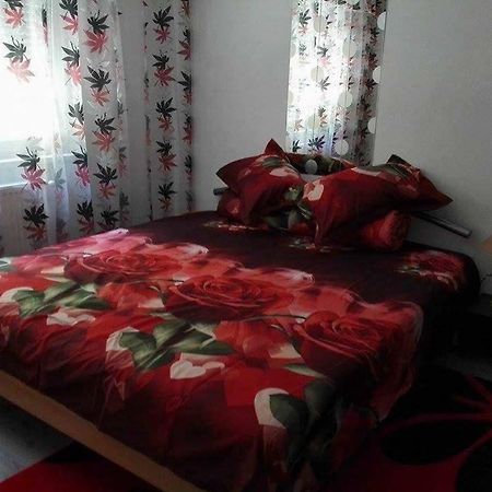 Orşova Apartament Ela Elegance 아파트 외부 사진