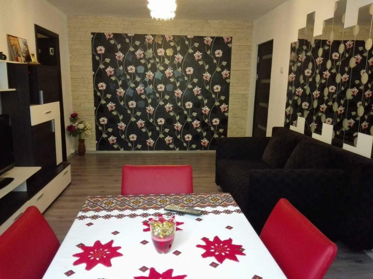 Orşova Apartament Ela Elegance 아파트 외부 사진