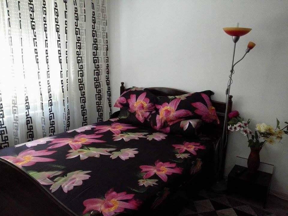 Orşova Apartament Ela Elegance 아파트 외부 사진